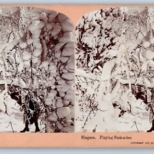 c1890s Niagara Falls Ice on Trees Girl Play Peek-A-Boo Stereoview Real Photo V28 picture