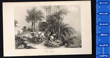 The View, Chetah, or Hunting Leopard by J. Webb - 1852 Engraved Print picture
