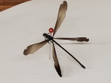 Damsel Fly Dry Pinned Specimen Natural Upstate SC Entomology In Flight Insect picture