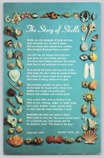 Postcard The Story of Shells Seashells Seashore picture