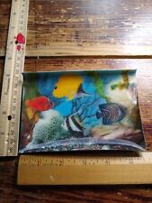 Postcard - Different Species of Fish Print picture