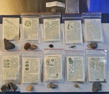 Fossil Collection. Multi‑Specimen. Lot of 11. Description Cards Included. Read. picture