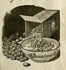1924 Quaker Oats Grains of Deliciousness Cereal Advertisement Ephemera Antique picture