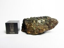NWA x CV3 10.15g Desert Varnished Carbonaceous Chondrite Meteorite picture