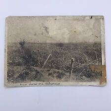 World War 1 French Barbed Wire Entanglement Black and White War Photo picture