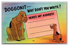 Doggonit Why Don't You Write? Here's My  Humor Linen Asheville NC Postcard Co. picture