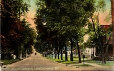 PPC Postcard IL Illinois Norman A Fell Avenue Residential Street View picture