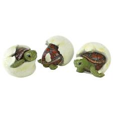Set of 3: Protected Endangered Sea Turtle Nest Baby Hatchlings Ocean Beach Decor picture