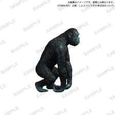 Trading Figure Monkey Tama-Kyu Human Evolution picture