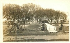 Kansas Pratt 1913 State Fish Hatchery RPPC Photo Postcard 22-3683 picture