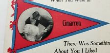 Antique 1914 SPANISH FLU Cimarron Kansas Quarantine COUPLE KISSING Sick Kids A4 picture