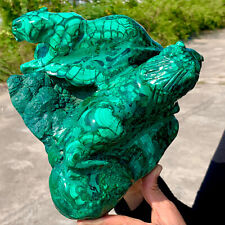 9.77LB Natural glossy Malachite Handcarved lion crystal cluster mineral Specimen picture