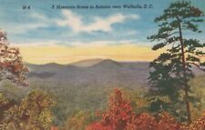 A Mountain Scene In Autumn Near Walhalla SC Vintage Divided Back Post Card picture