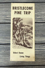 Vintage Bristlecone Pine Trip Oldest Known Living Things Brochure Pamphlet East  picture