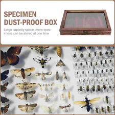 Wooden Specimen Storage Box Insect Butterflies Display Frame Collection Ornament picture
