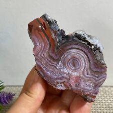 205g Natural Mexican Crazy Lace Agate Rough Specimen Healing h7 picture