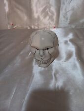 Large Bright White Howlite Porcelain Skull -Smooth Polished Carvingvwhite... picture