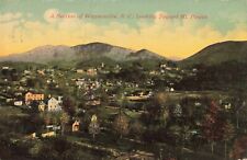 Birdseye View Waynesville North Carolina NC Mt. Pisgah 1913 Postcard picture
