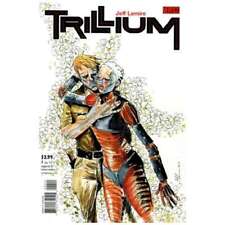 Trillium #4 in Near Mint minus condition. DC comics [i; picture