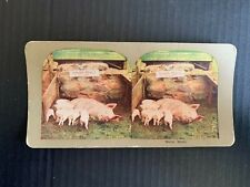c.1900 Warm Meals Stereoview Card picture