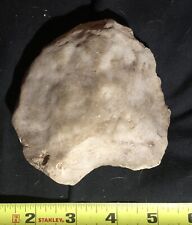 Paleo Curved Blade Ax(appears Hafted)Texas Neanderthal Native American Stone picture
