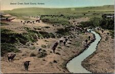 Hand Colored Postcard Beaver Creek in Scott County, Kansas~133292 picture