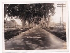CUBAN PUBLIC WORKS NEW ROAD BY THE NATURE CUBA 1940s VINTAGE ORIG Photo Y J 349 picture