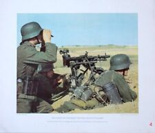 Rare 100% Original III Reich Color Photographic Prints of the Werhmacht - No. 4 picture