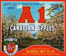 10 Original A 1 Brand Fancy Canadian Apple Fruit Crate Labels Kelowna BC picture