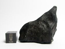 Hammadah al Hamra 346 (Ghadamis) 52.77g Meteorite picture