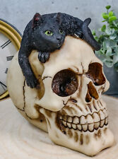 Ebros Witching Hour Black Mystical Cat Perching On Skull Macabre Figurine picture