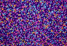 Confetti Explosion Burst - Dopamine Decor Maximalist Wall Art Print picture