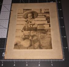  1900s Boy in Wagon w/ CAT Pet Weird Doll in Foreground Vintage PHOTO picture