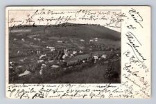 Fleischmanns NY-New York, Bird's-Eye View of Town, Vintage c1906 Postcard picture