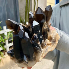 2.42LB Natural smoky black quartz cluster crystal raw mineral specimen healing picture