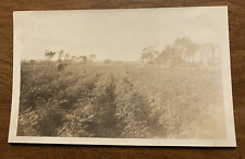 1920s Rural Farm Country Life Crop Field Man Working Farmer Real Photo P10w5 picture