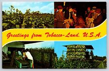 Greetings From Tobacco-Land USA Multi View Hats Processing Field Plant Postcard picture