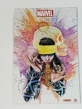MARVEL'S INDIGENOUS VOICES 1 Marvel David Mack Exclusive Trade Variant Echo 2020 picture