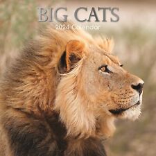 2024 Square Wall Calendar, Big Cats, 16-Month Animals Theme 180 Stickers 12x12