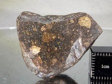NWA 14883, R3, 15.2g Rumuruti meteorite polished face rare oxygen rich formation picture