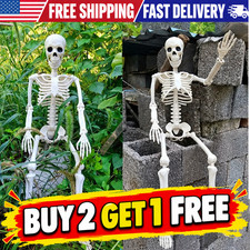 Halloween Human Skeleton Oversized Poseable Size Life Decoration Party Prop  40 picture