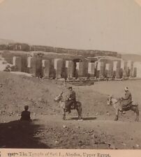 Temple of Seti I Abydos Mules Upper Egypt Underwood Stereoview 1897 picture