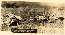 C.1910 RPPC DEAD MEXICAN REVOLUTION SOLDIERS, BANDITS TEXAS BORDER Postcard PS picture