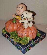 Jim Shore Peanuts Charlie Brown & Snoopy 