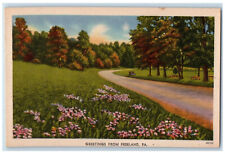 c1950's Greetings from Freeland Pennsylvania PA Unposted Vintage Postcard picture