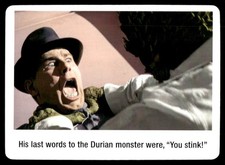 The Hideous Sun Demon 2025 Monster Memes Card #82 (NM) picture