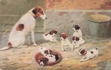 Artist Card Smooth Coated Fox Terrier 7 Puppies Dogs Pups Vintage Postcard 1909 picture