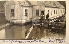 Kendall Fish Hatchery Offices & Fish Rack Nooksack River WA RPPC Postcard COPY picture