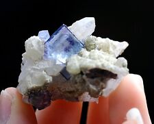 28g Natural Blue And White Porcelain Purple Fluorite Crystal Mineral Specimen picture