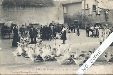 antique postcard Tarn, Albi, goose market picture